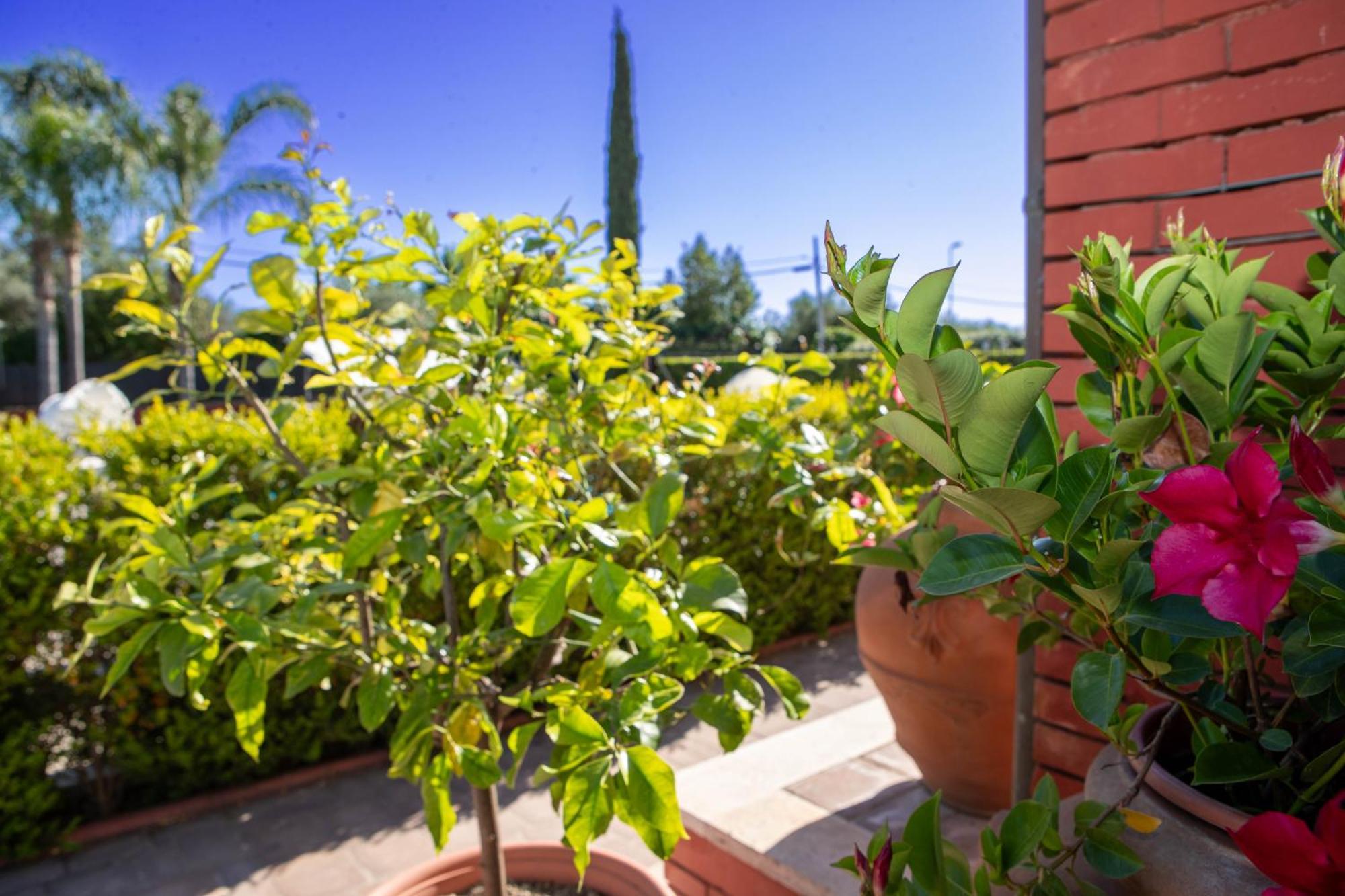 Selcetta Relais Villa Italia מראה חיצוני תמונה