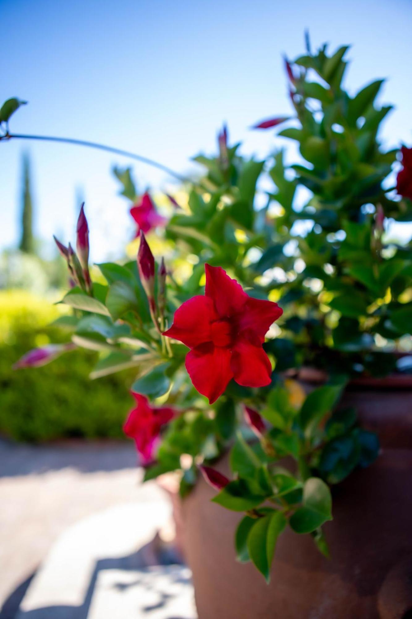 Selcetta Relais Villa Italia מראה חיצוני תמונה